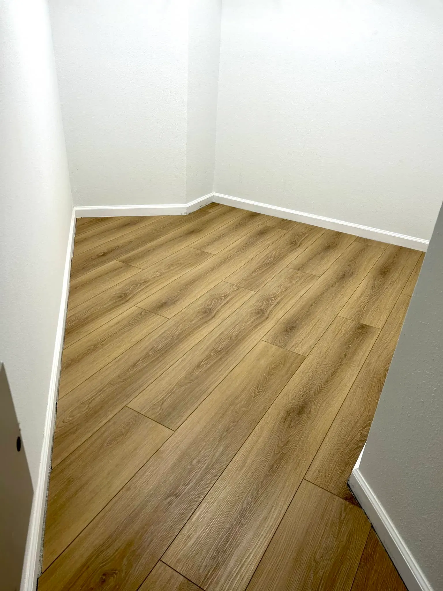5,000 sq ft Private Residence, Luxury Vinyl Plank Throughout in Jacksonville, photo 11