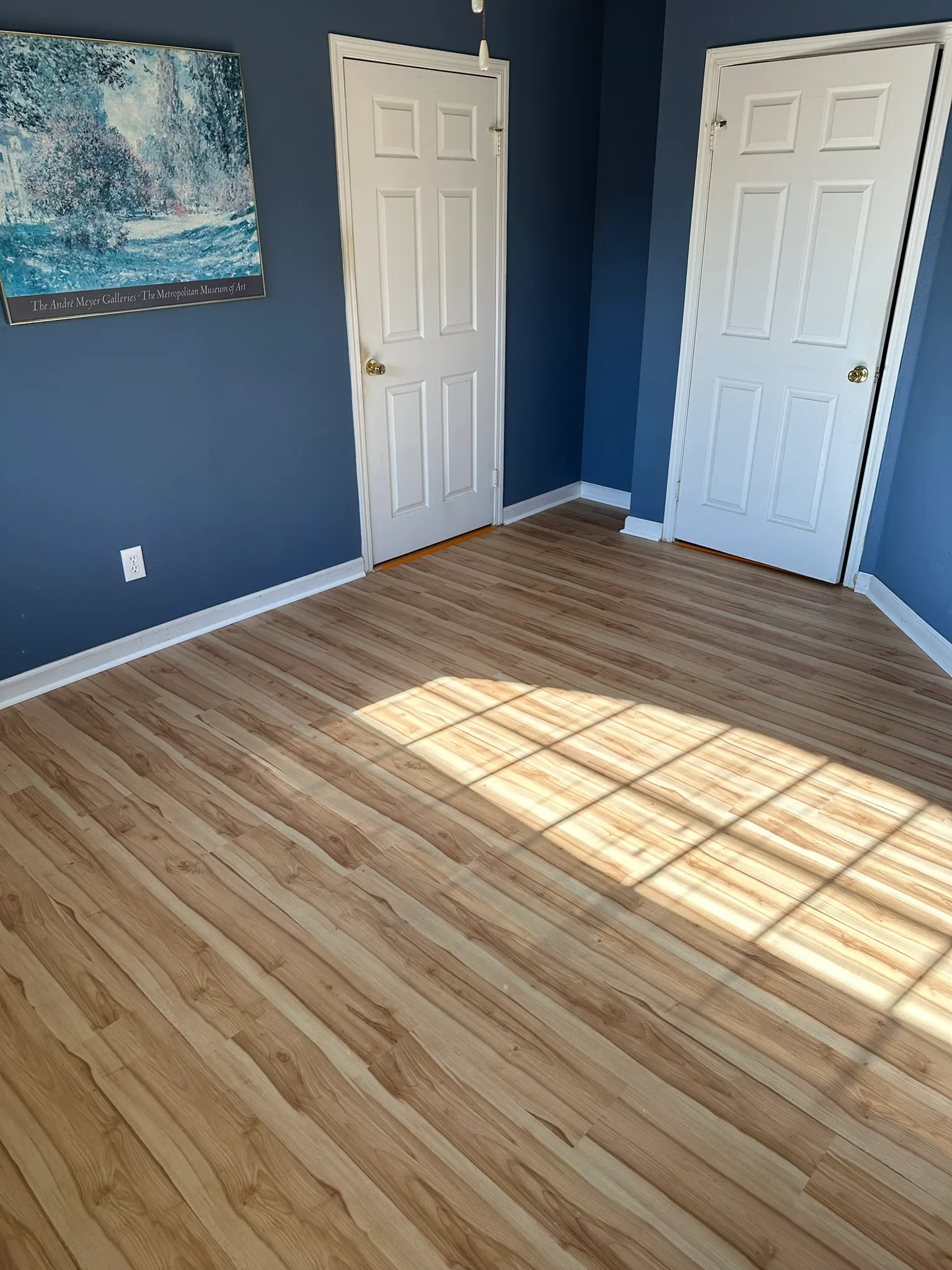 Luxury Vinyl Plank in a Jacksonville Beach Apartment in Jacksonville Beach, photo 10
