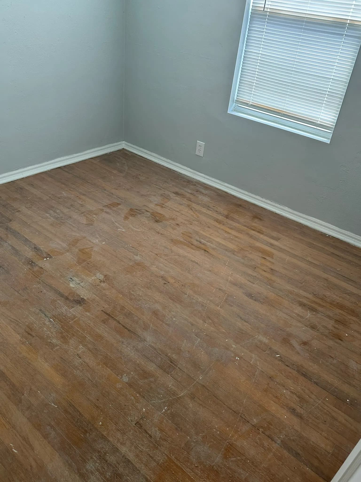 1,300 sq ft Oak Hardwood Refinish in Jacksonville