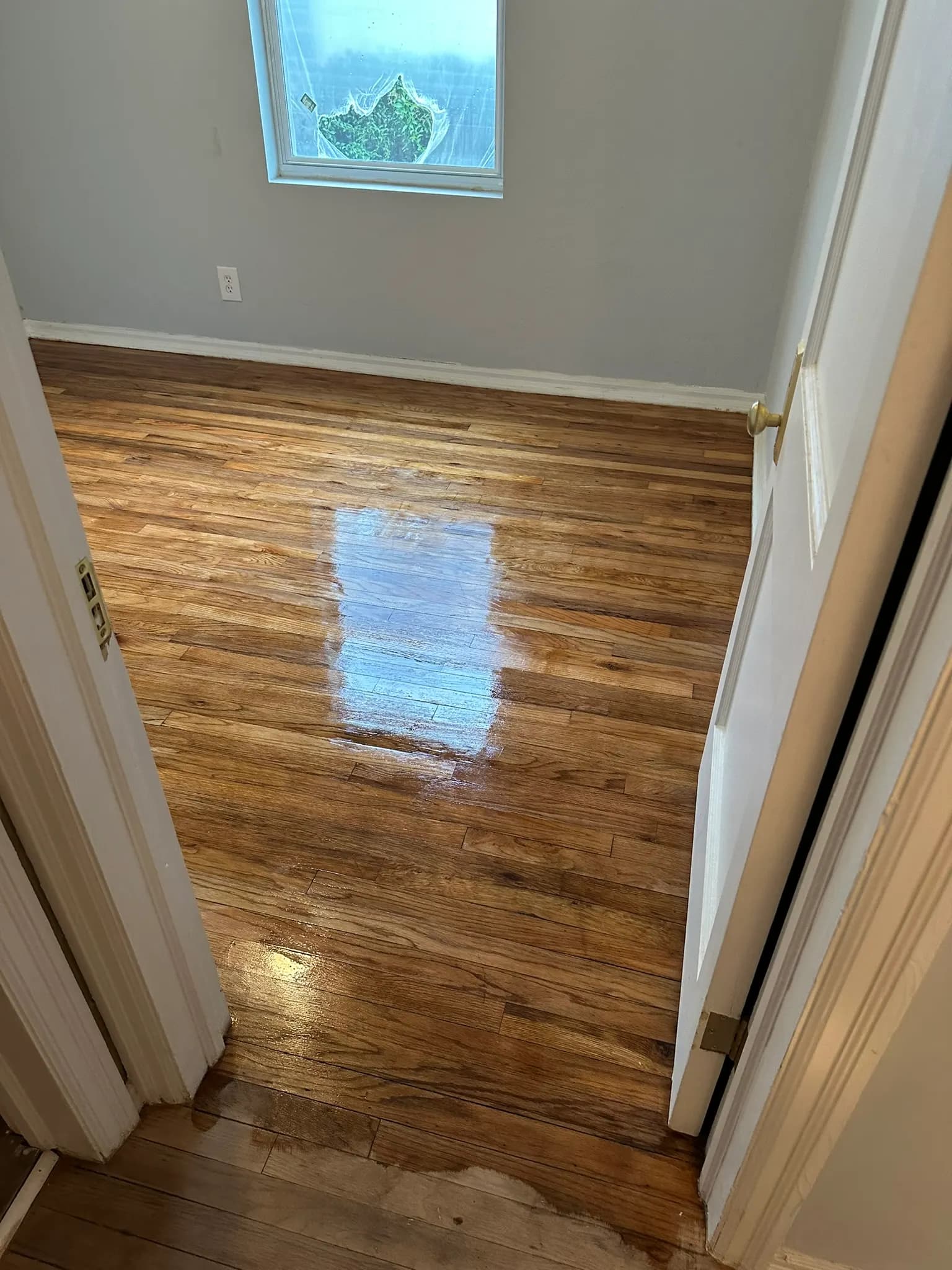 1,300 sq ft Oak Hardwood Refinish in Jacksonville, photo 2