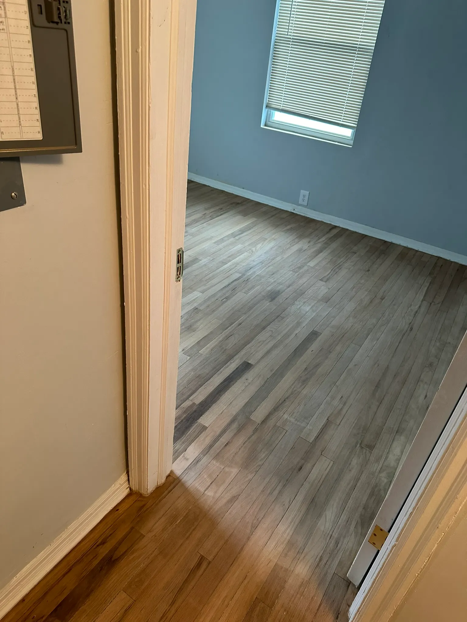 1,300 sq ft Oak Hardwood Refinish in Jacksonville, photo 3