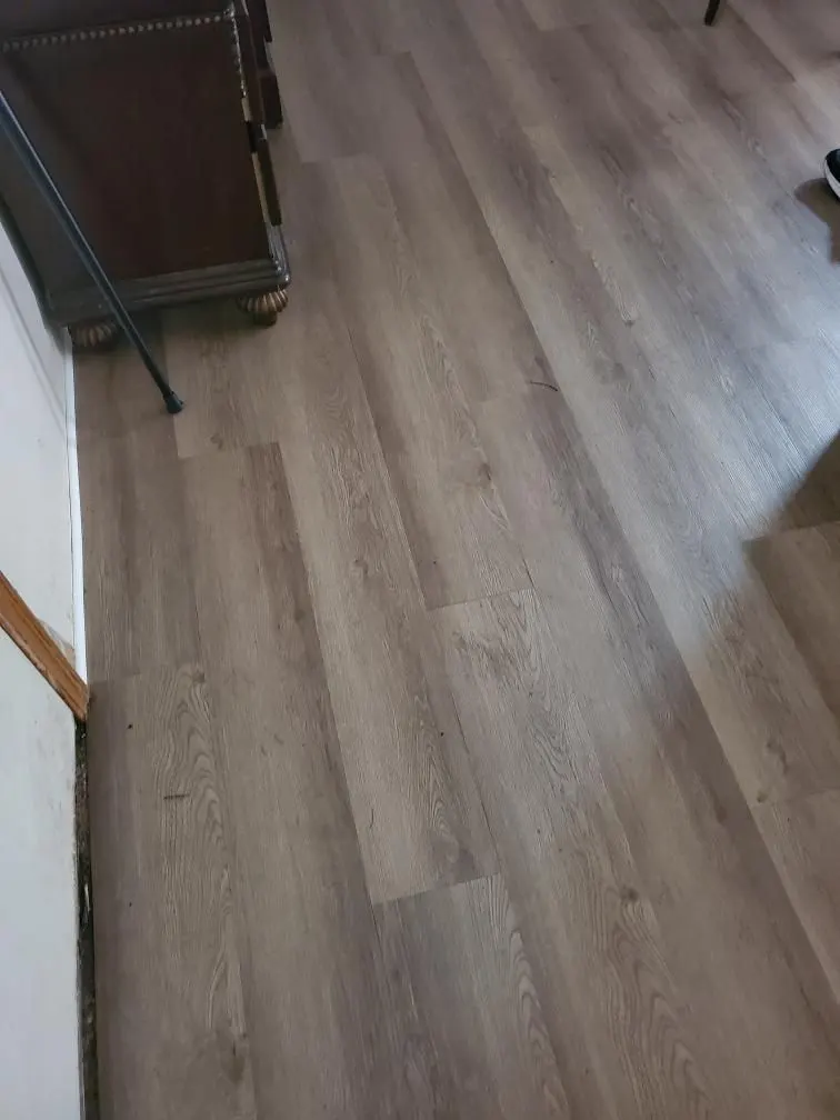 1,350 sq ft Luxury Vinyl Tile in a Manufactured Home in Jacksonville, photo 4