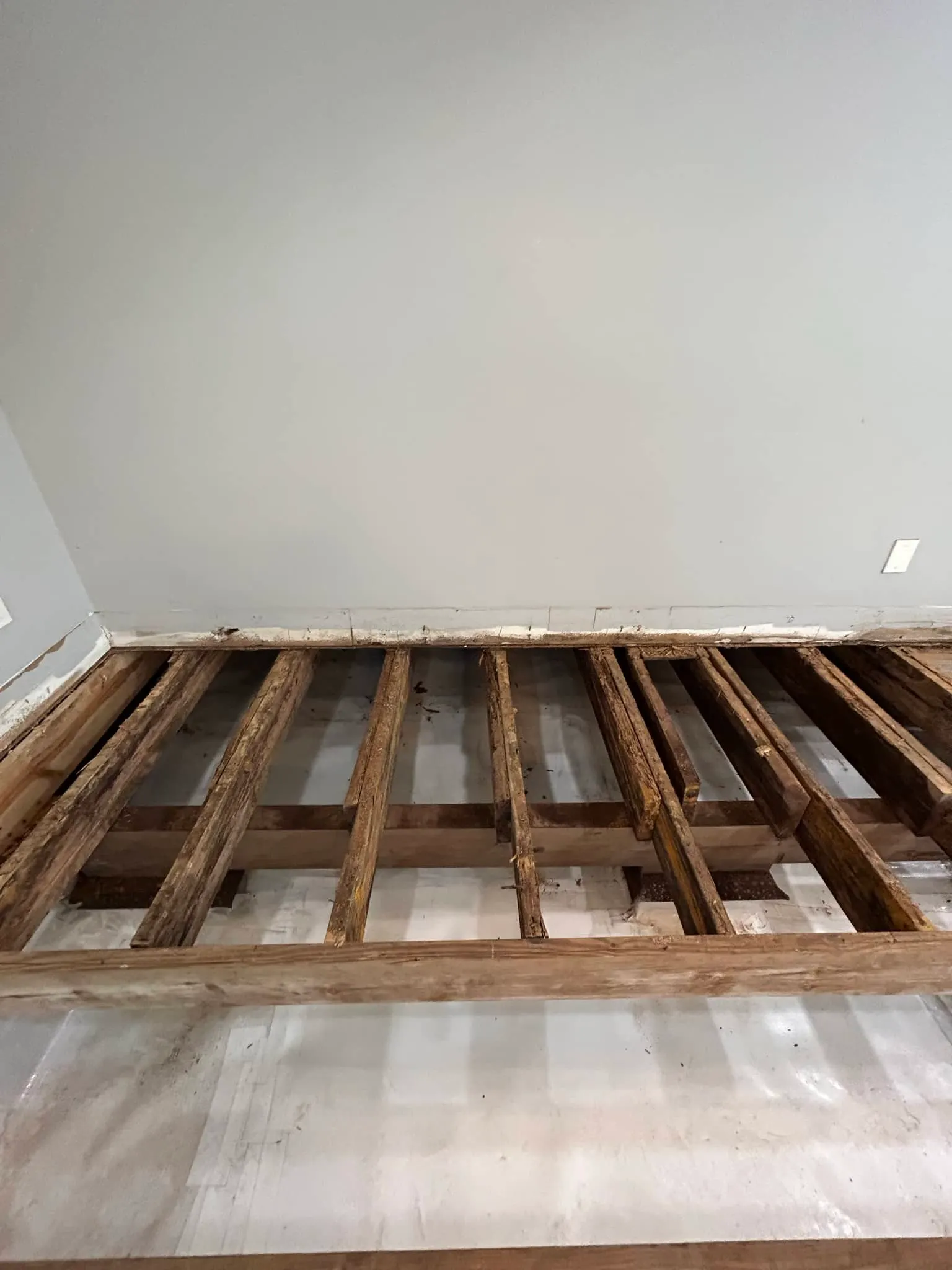 St. Augustine Subfloor Replacement and Luxury Vinyl Plank in St. Augustine, photo 5