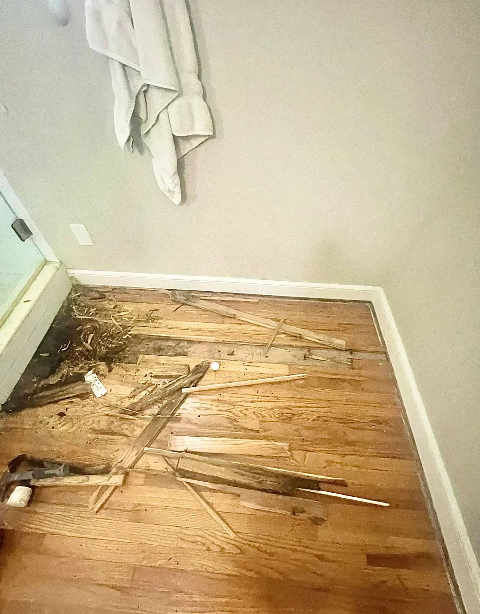 3,500 sq ft Hardwood: Subfloor Replaced, Installed, and Finished, photo 1