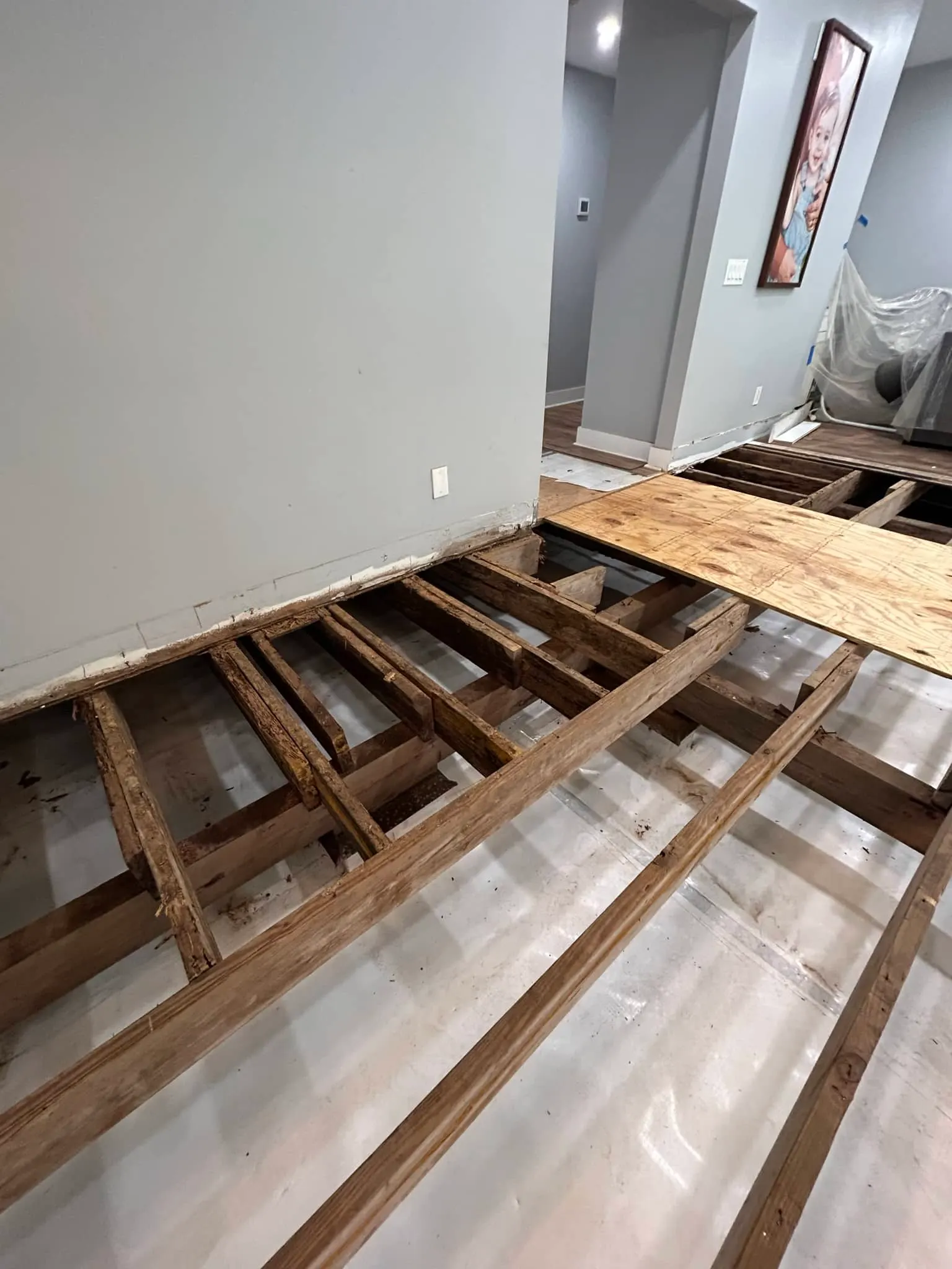 St. Augustine Subfloor Replacement and Luxury Vinyl Plank, photo 2